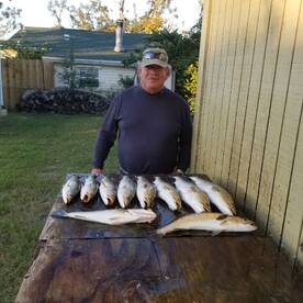 Limit of Speckled Trout 