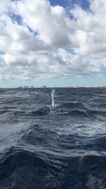 Fort Lauderdale Report Photo 1