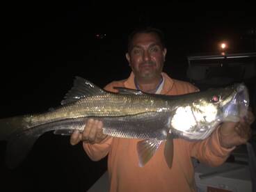 32 inch keeper snook off the dock lights