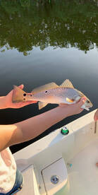 EPIC bite in the bay!!!!