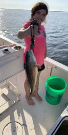 Clearwater Report Photo 2