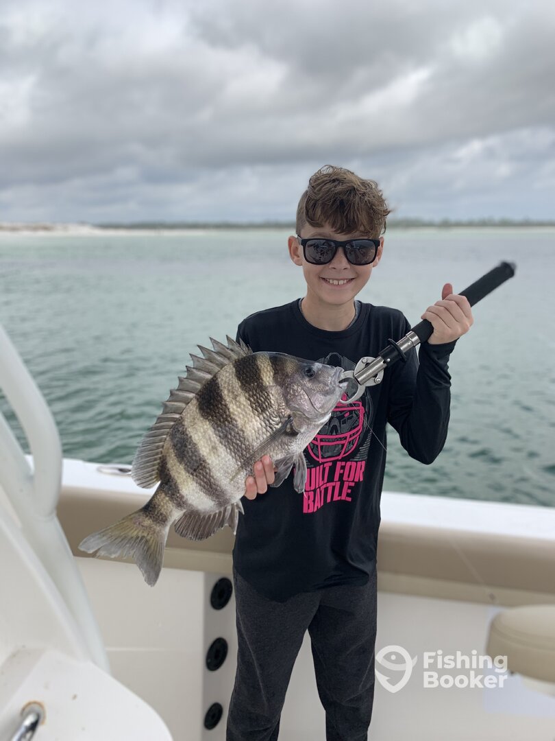 Orange Beach Report Photo 0