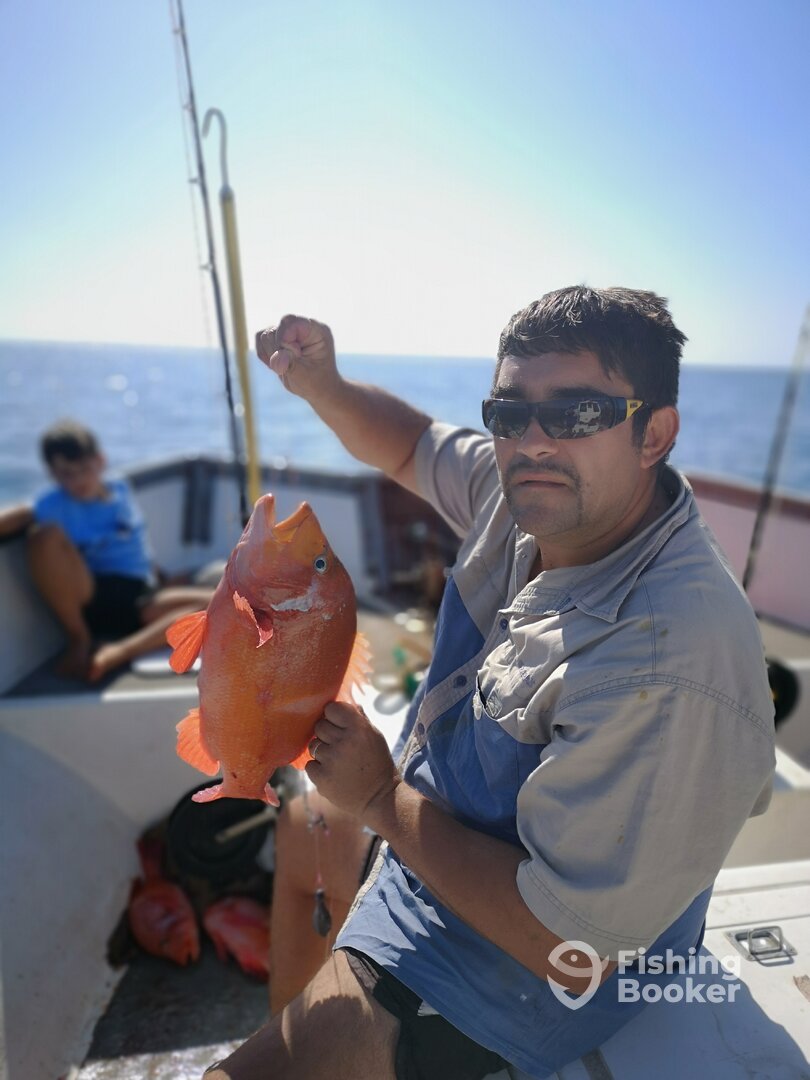 St. Francis Bay Report Photo 0