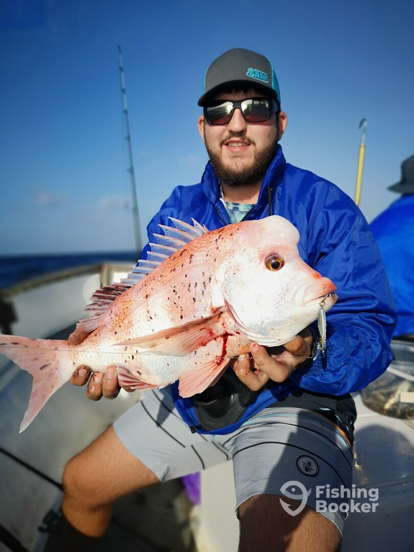St. Francis Bay Report Photo 0