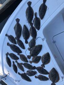 Panama City Beach Report Photo 2