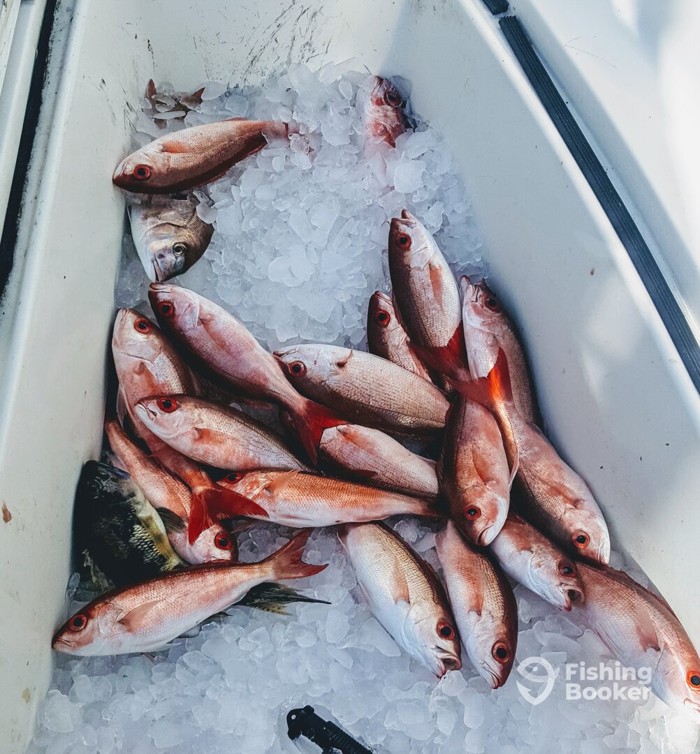Destin Report Photo 0