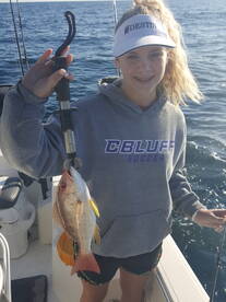 Destin Report Photo 2