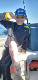 Great White Shark Experience!