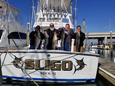 Point Pleasant Report Photo 1