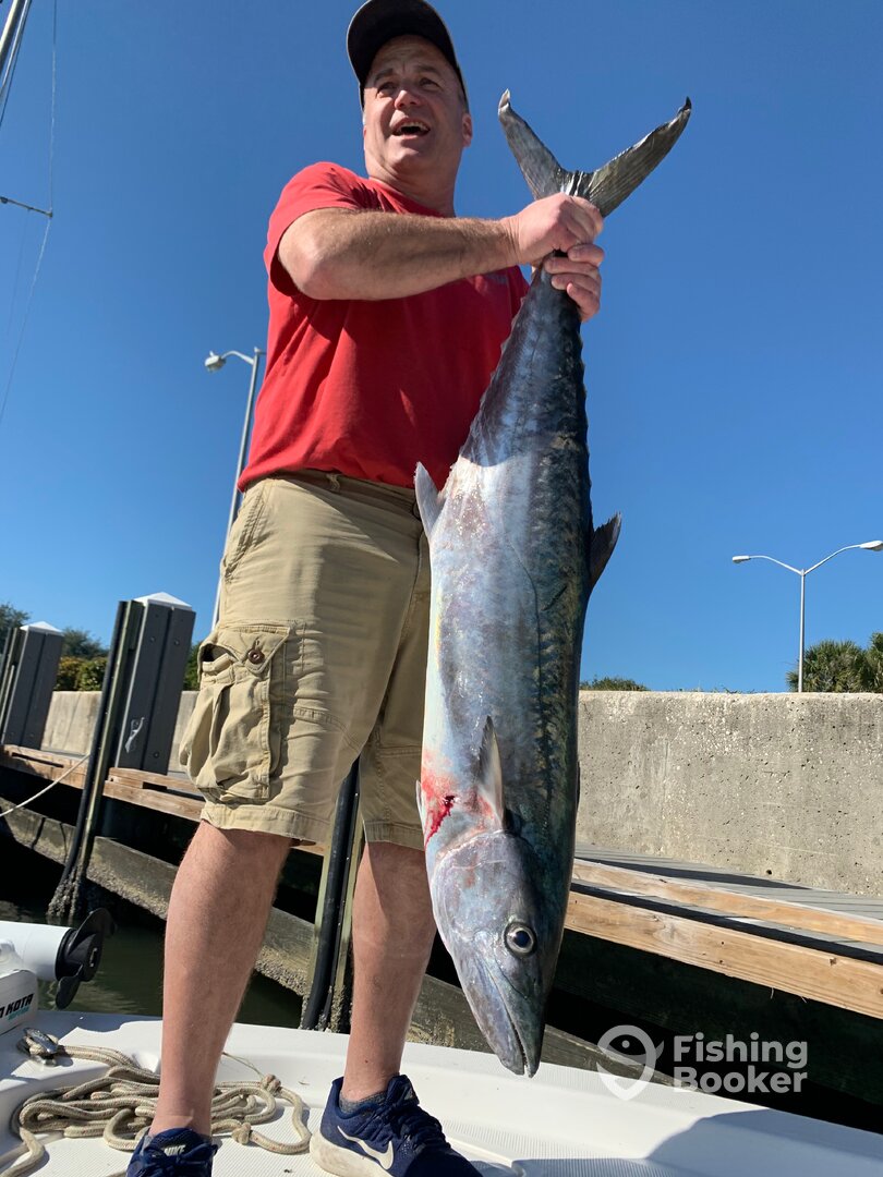 Sarasota Report Photo 0