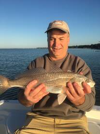 Sarasota Report Photo 2
