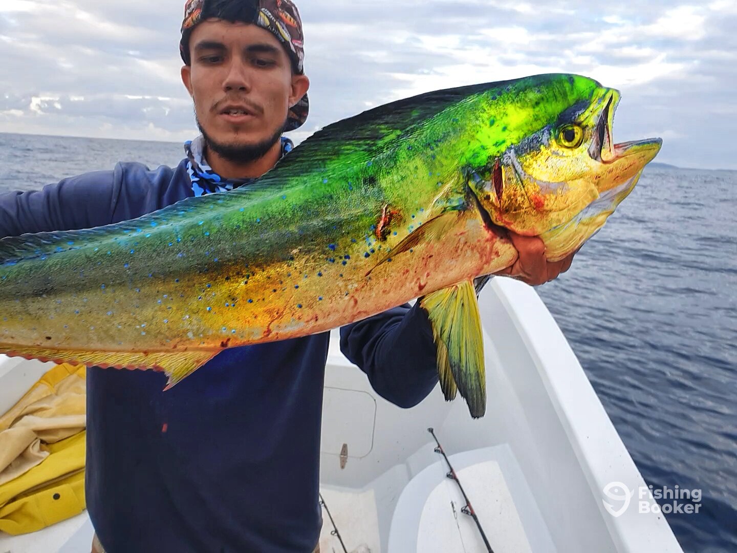 Roatan Report Photo 0