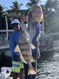 Sarasota Report Photo 2