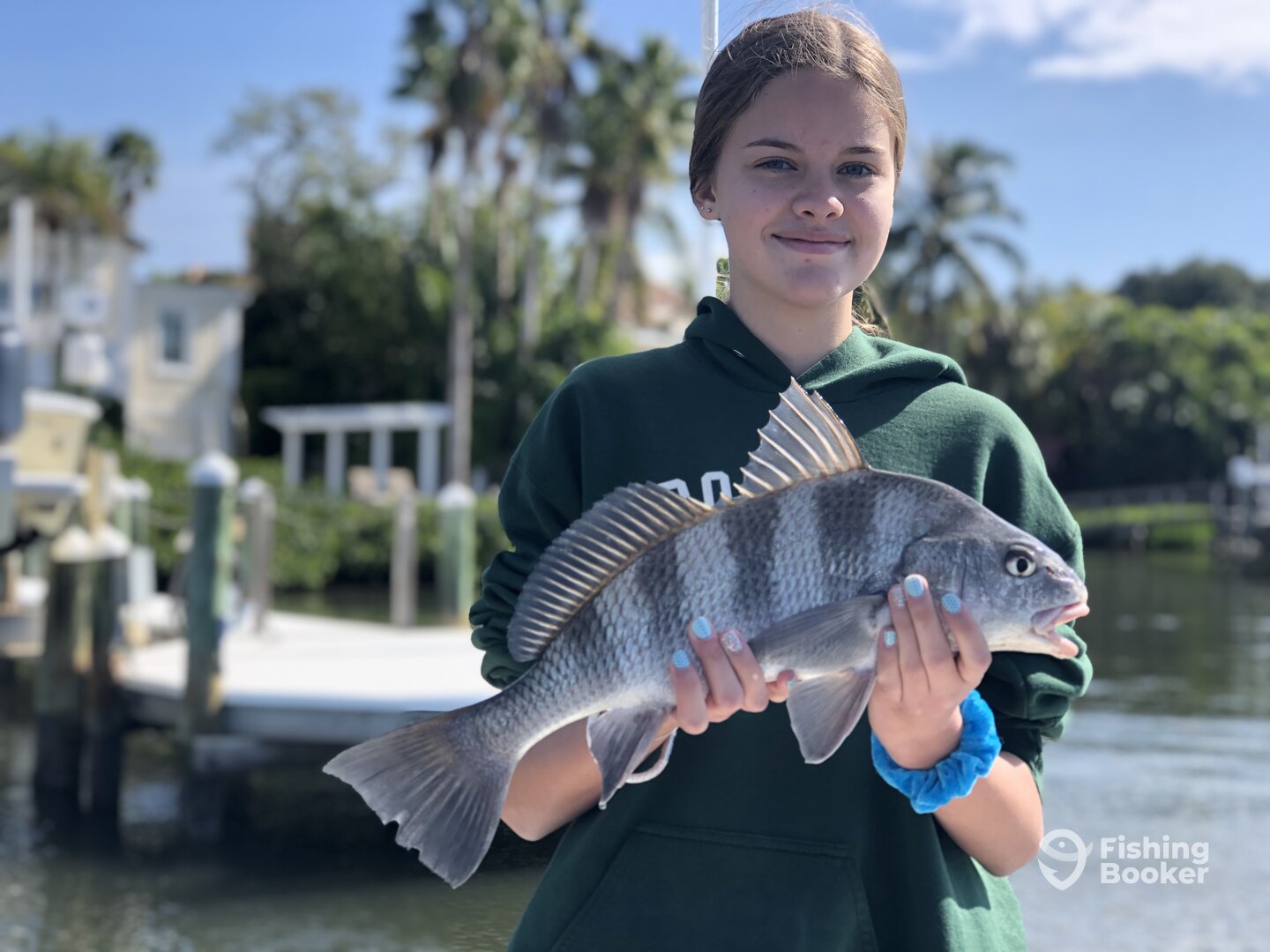 Sarasota Report Photo 0