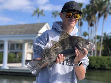 Sarasota Report Photo 2
