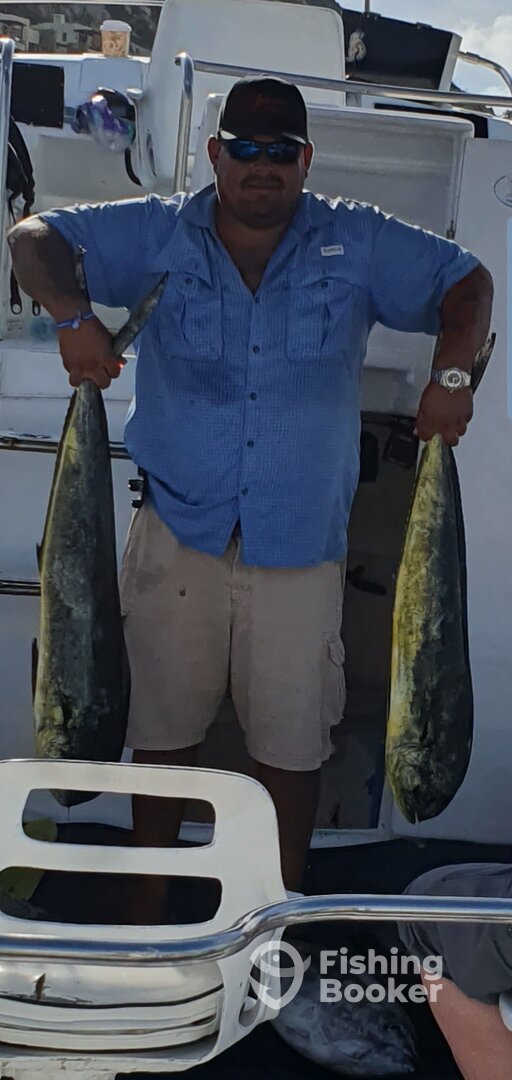 Cabo San Lucas Report Photo 0