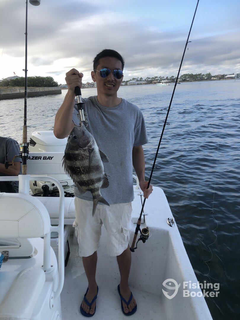 Orange Beach Report Photo 0