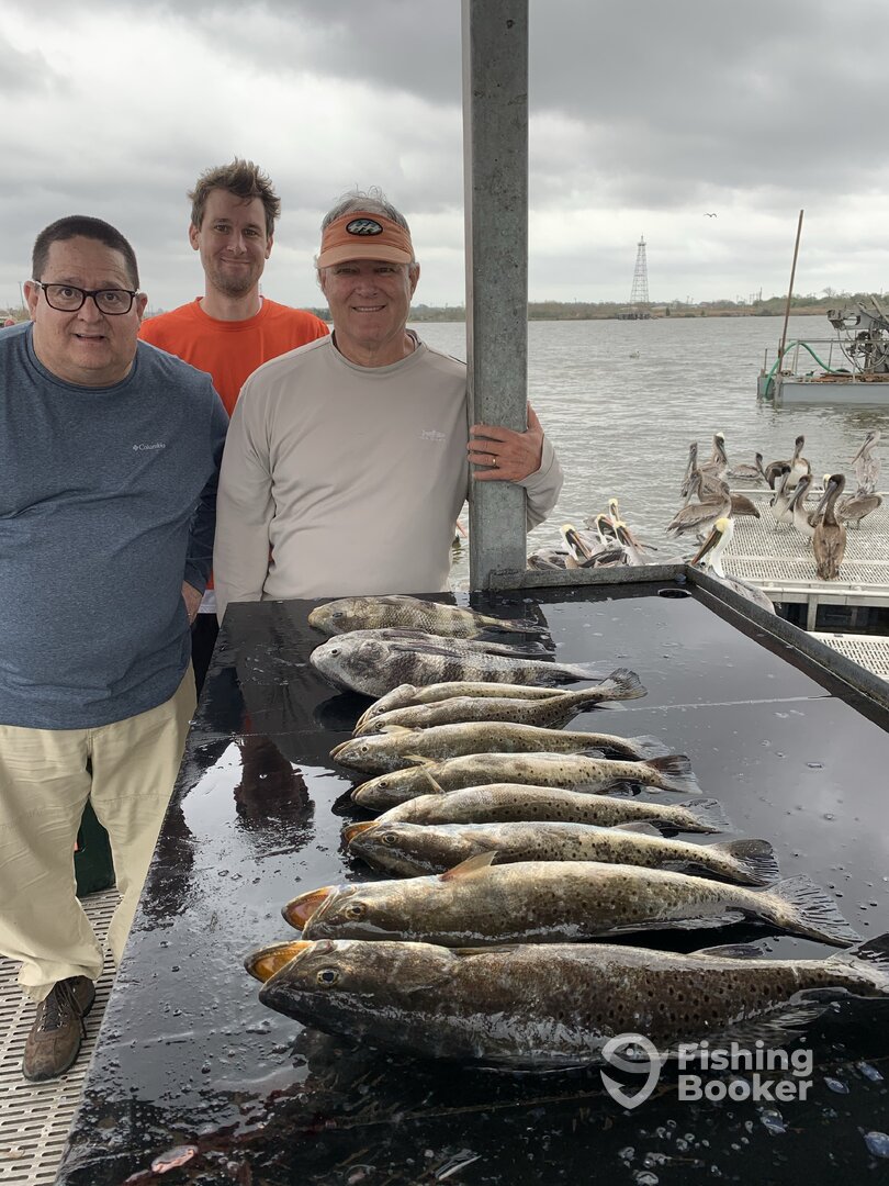 Galveston Report Photo 0