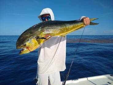 Mahi on The Fly !!!