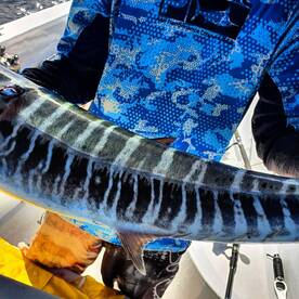 Roatan Report Photo 2