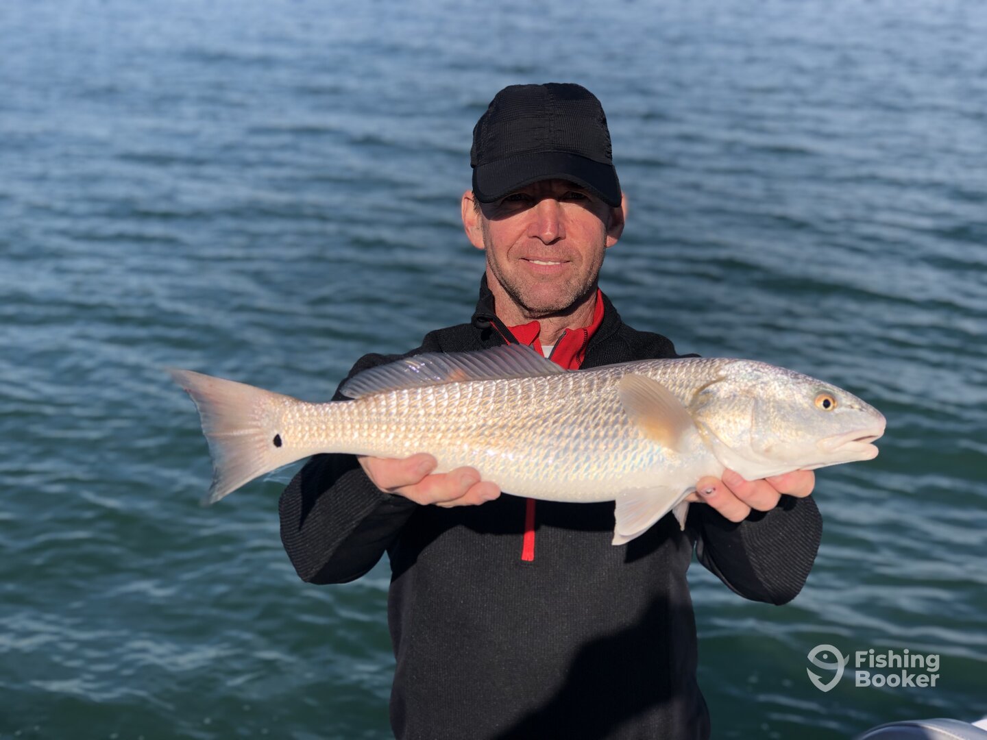 Sarasota Report Photo 0