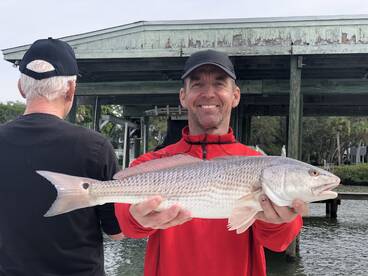 Sarasota Report Photo 2