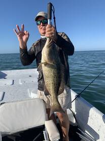 Crystal River Report Photo 2