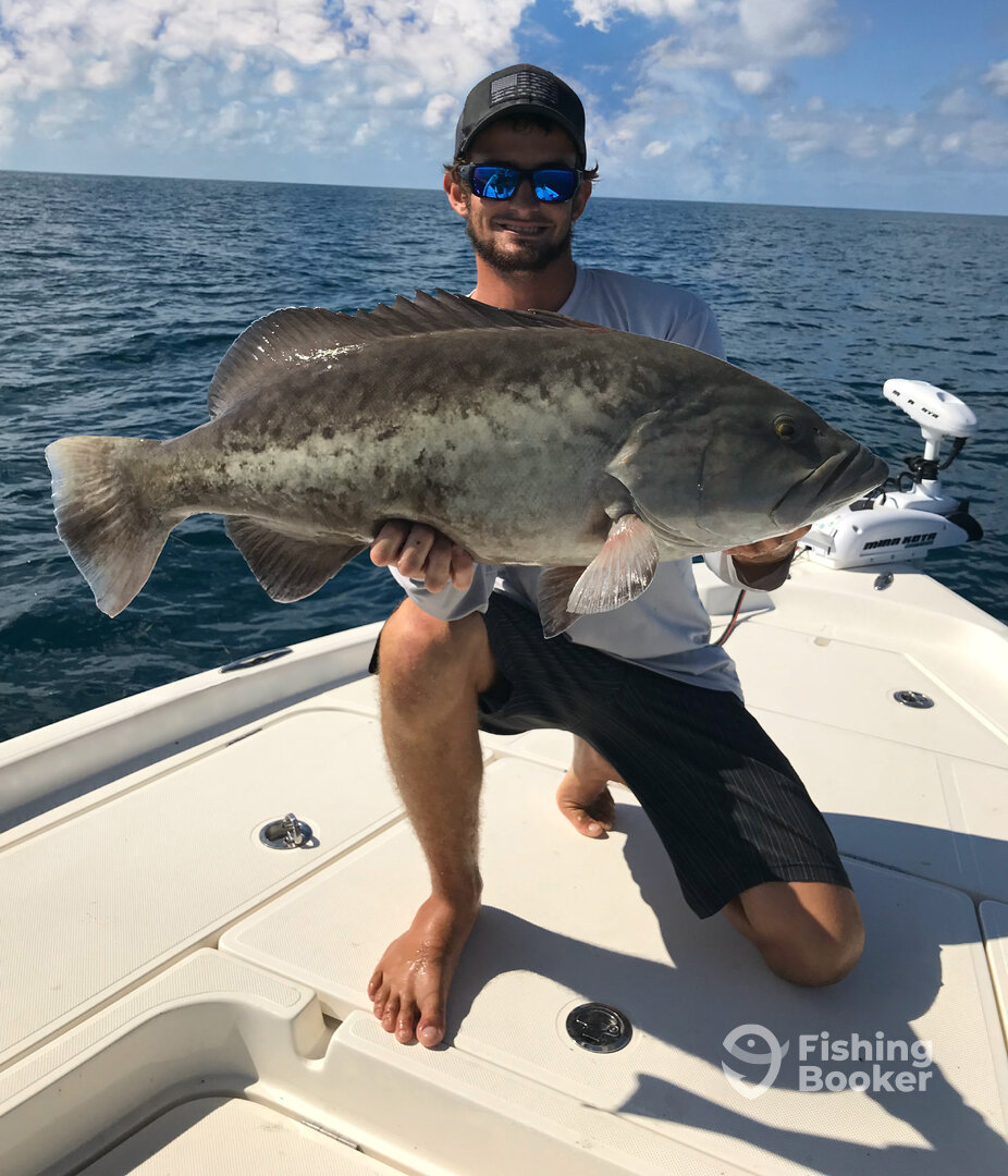 Clearwater Report Photo 0