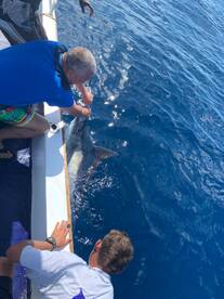 Marlin season!