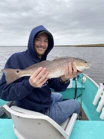 Jacksonville Report Photo 1