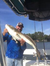 Fairhope Report Photo 1