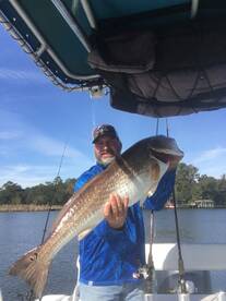 Fairhope Report Photo 2