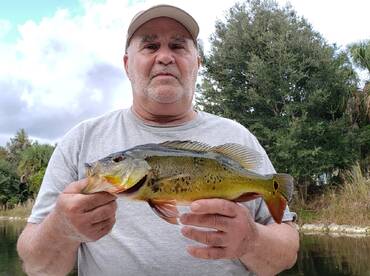Bonita Springs Report Photo 1