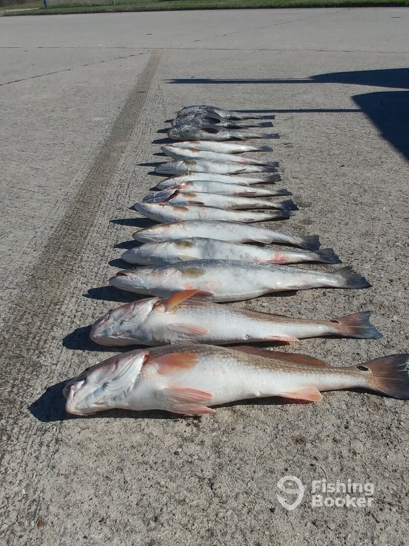 Texas City Report Photo 0