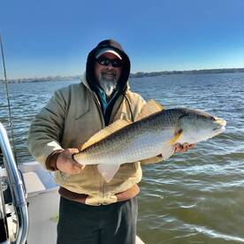 Texas City Report Photo 1