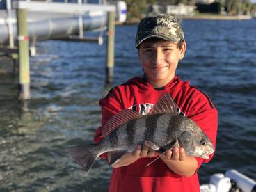 Sarasota Report Photo 2