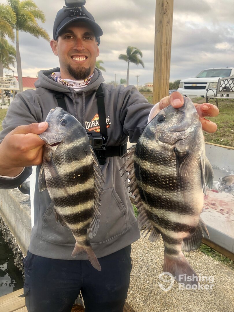Punta Gorda Report Photo 0