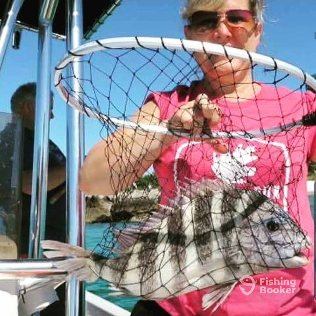 Bay Pines Report Photo 0