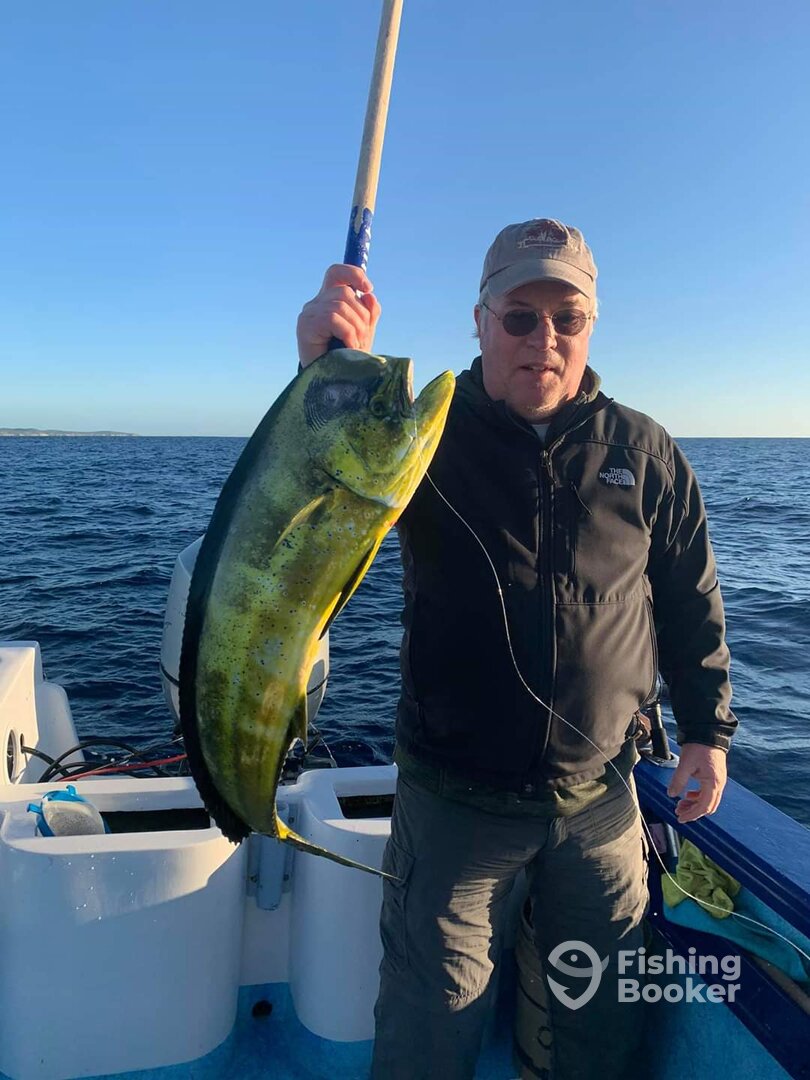 San Jose del Cabo Report Photo 0