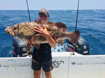 Noosa Charter Fishing 