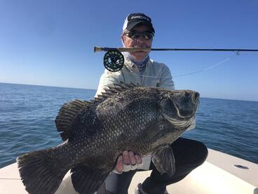 Sarasota Report Photo 1
