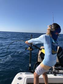 Sarasota Report Photo 2