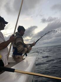 Orange Beach Report Photo 2