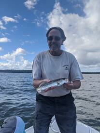 Lagoon Trout 