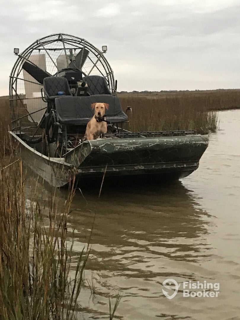Port O'Connor Report Photo 0