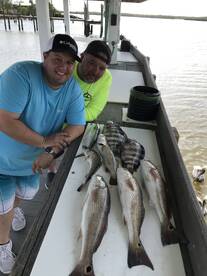 Bad wind but good bite