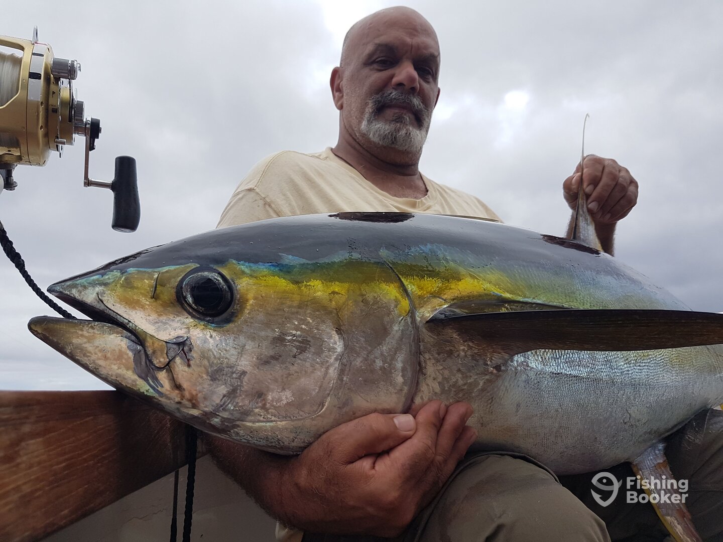 50KG Yellowfin