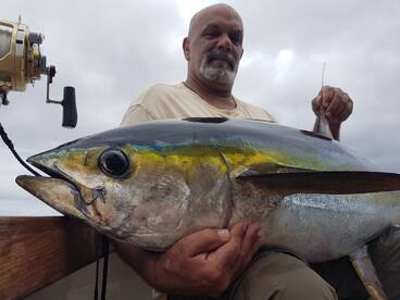 50KG Yellowfin for Dinner, and a Blue Ma