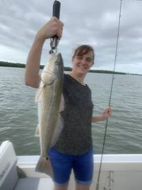 Marco Island Report Photo 2