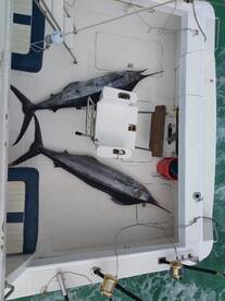 Le Morne Report Photo 1